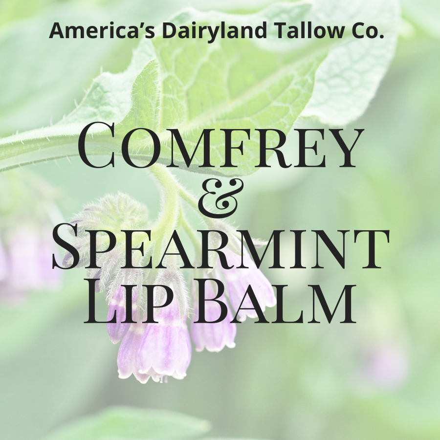 Comfrey & Spearmint Tallow Lip Balm