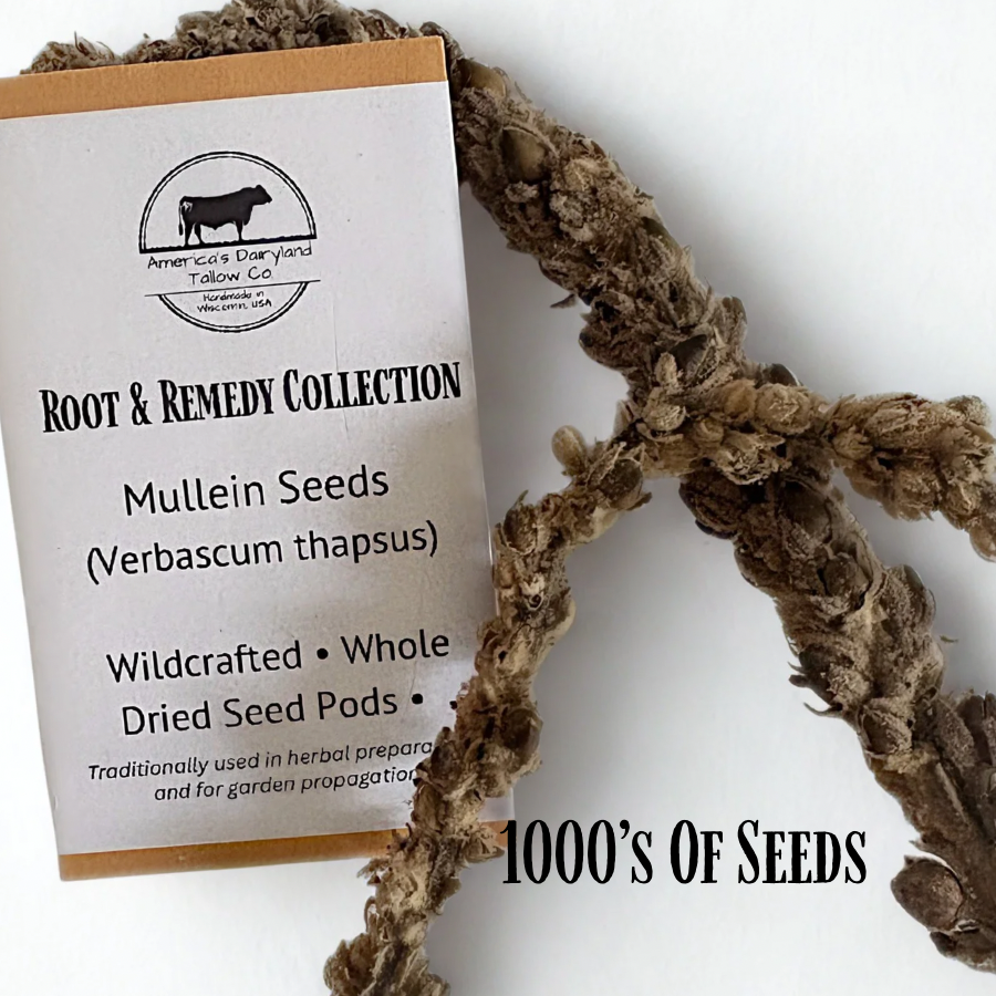 Mullein Seed Pods (1000's for planting)
