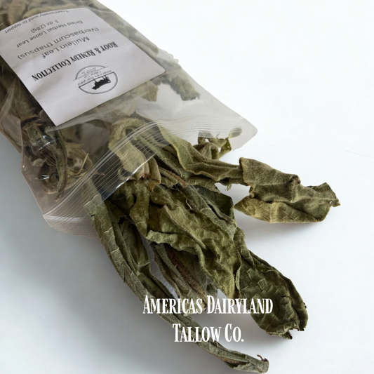 Dried Mullein Leaf - "Natures Lung Cleanser"