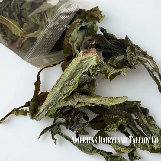 Dried Wild Lettuce - "Natures Pain Reliever"