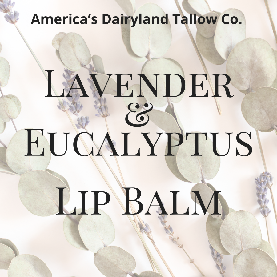 Lavender & Eucalyptus Tallow Lip Balm