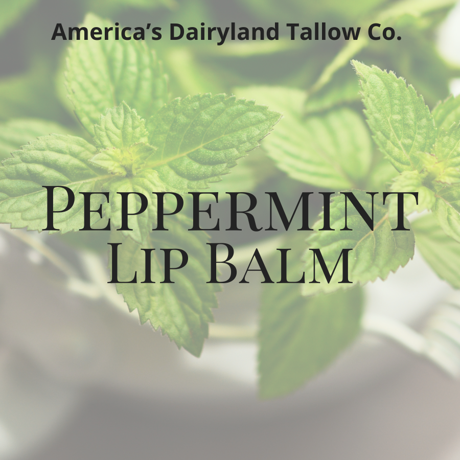 Peppermint Tallow Lip Balm