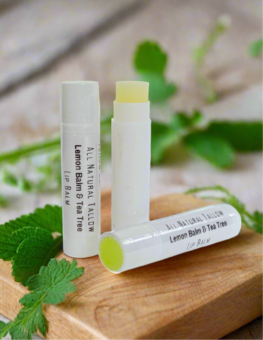 Lemon Balm & Tea Tree Tallow Lip Balm