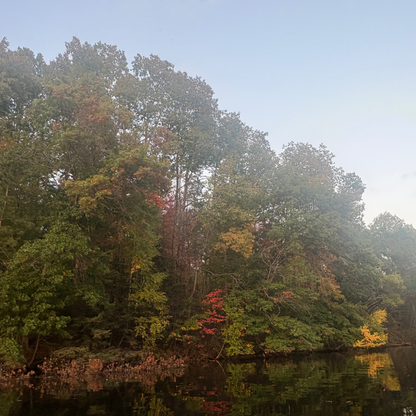 Crisp Autumn Air Whipped Tallow Body Butter