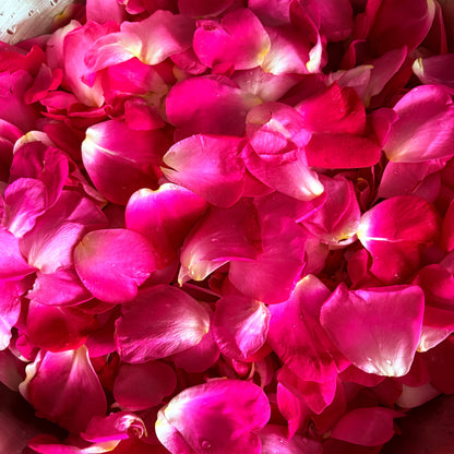 Baby Booty Whipped Tallow