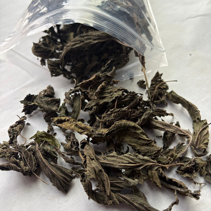Dried Stinging Nettle - "Nature's Multivitamin"