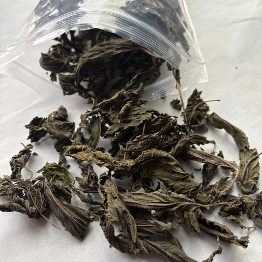 Dried Stinging Nettle - "Nature's Multivitamin"
