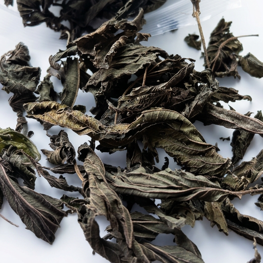 Dried Stinging Nettle - "Nature's Multivitamin"