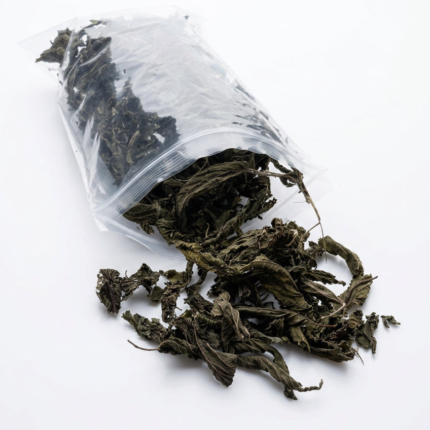 Dried Stinging Nettle - "Nature's Multivitamin"