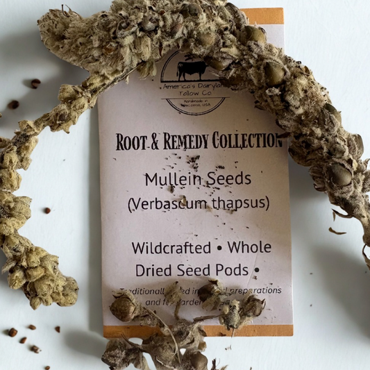 Mullein Seed Pods (1000's for planting)
