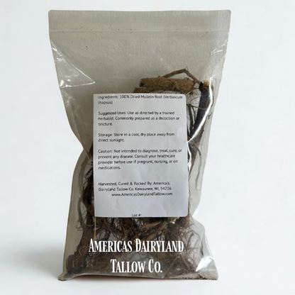 Mullein Root - Natures Root For The Evil