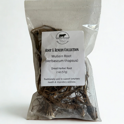 Mullein Root - Natures Root For The Evil