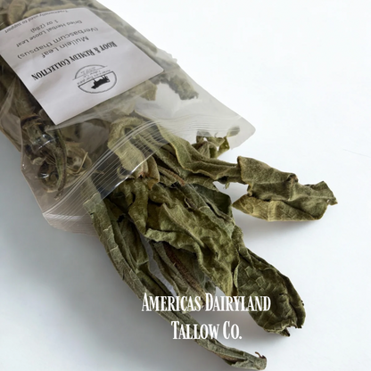 Dried Mullein Leaf - Natures Lung Cleanser