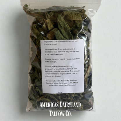 Dried Wild Lettuce - Natures Pain Reliever