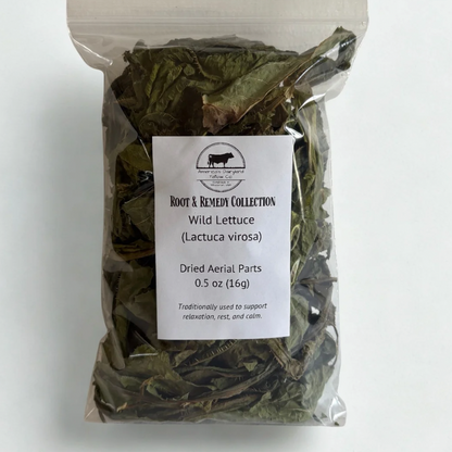 Dried Wild Lettuce - Natures Pain Reliever