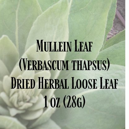 Dried Mullein Leaf - Natures Lung Cleanser