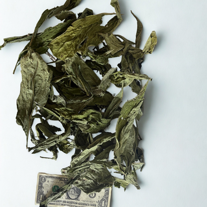 Dried Comfrey Leaf - Natures Wound Healer