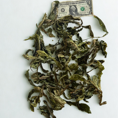 Dried Wild Lettuce - Natures Pain Reliever