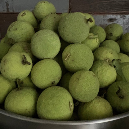 Black Walnut Hull Powder - Natures Cleanser