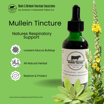 Mullein Tincture (dual extracted)