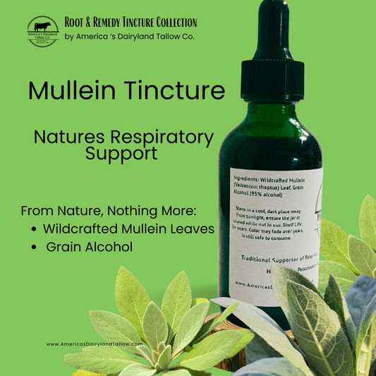 Mullein Tincture (dual extracted)