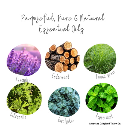 Insect Repellent Tallow Salve