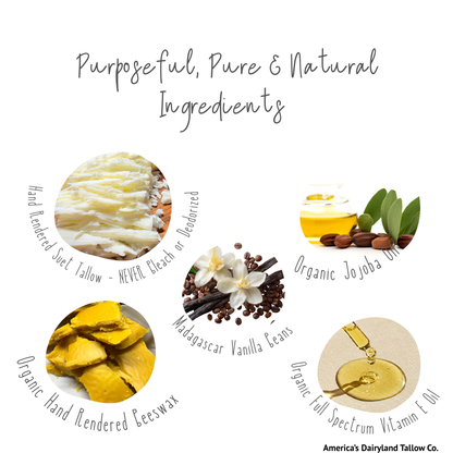 Sweet Orange & Infused Vanilla Bean Tallow Lip Balm