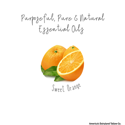Sweet Orange & Infused Vanilla Bean Tallow Lip Balm