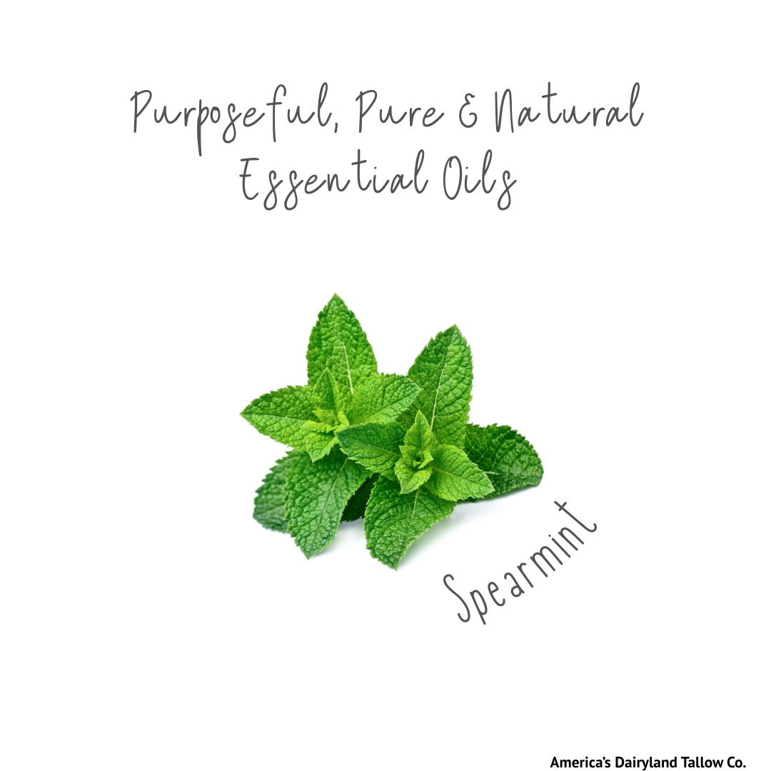 Comfrey & Spearmint Tallow Lip Balm