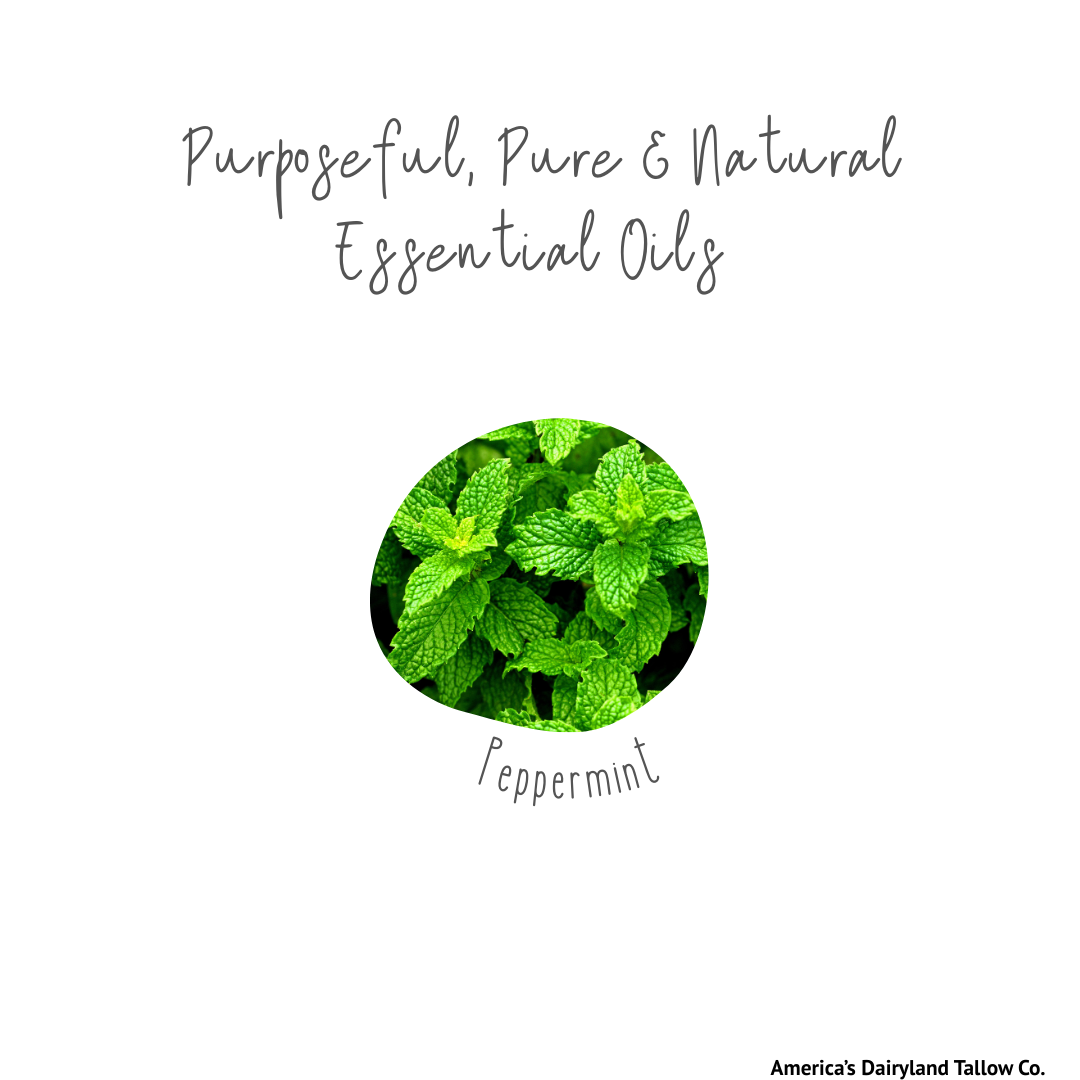 Peppermint Tallow Lip Balm
