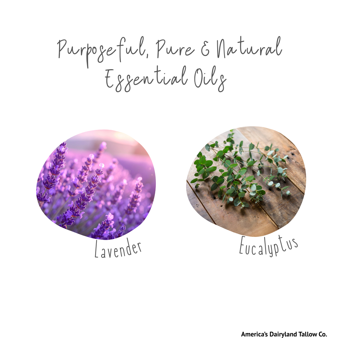 Lavender & Eucalyptus Tallow Lip Balm