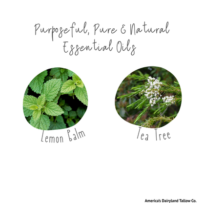 Lemon Balm & Tea Tree Tallow Lip Balm