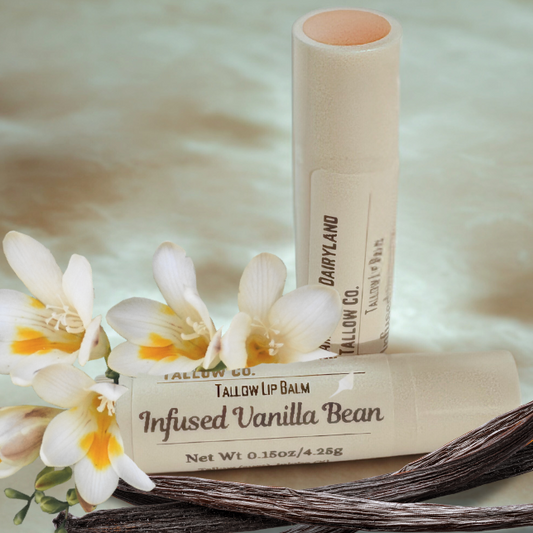 Infused Vanilla Bean Tallow Lip Balm